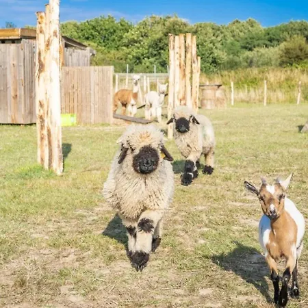 Campingplads 5 Etoiles - Parc Aquatique - Eei0fd Saint-Jean-dʼOrbetiers