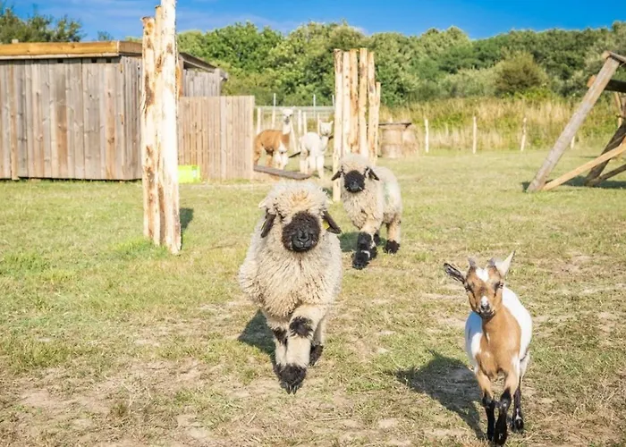 Kemping 5 Etoiles - Parc Aquatique - Eei0fd Saint-Jean-dʼOrbetiers